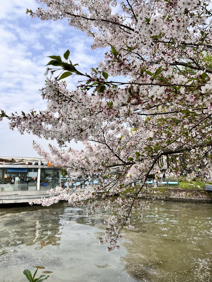 蛋挞边边 tweet media