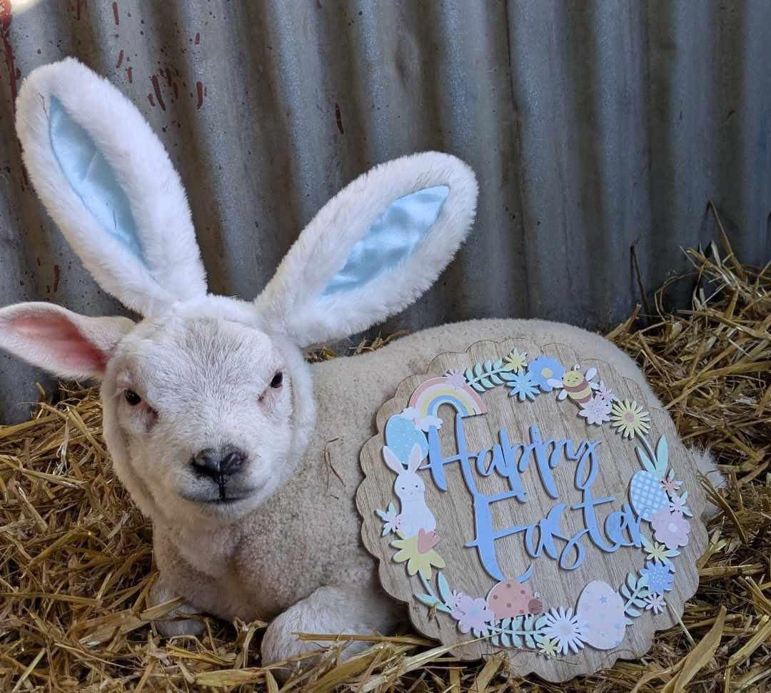 FarmingUK tweet media