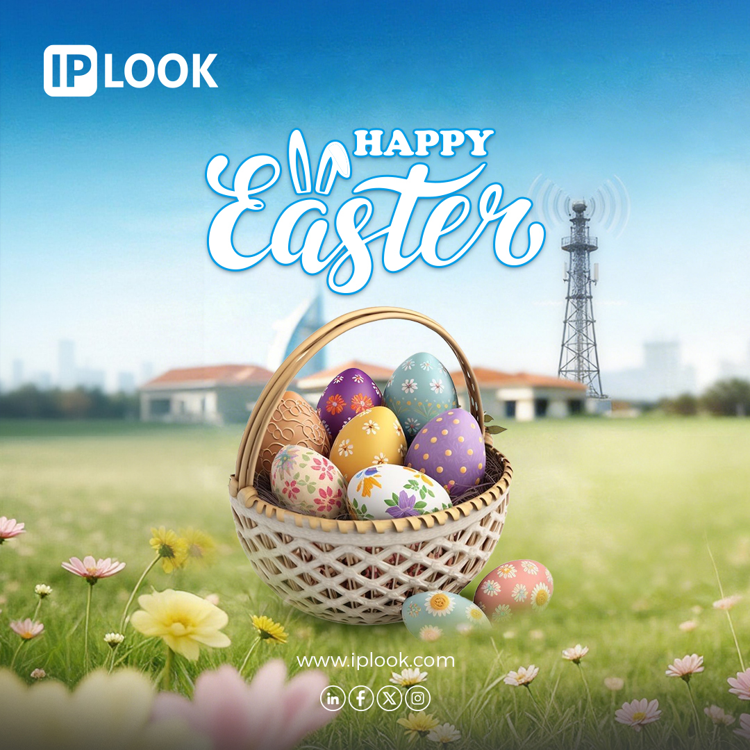 IPLOOK Networks tweet media