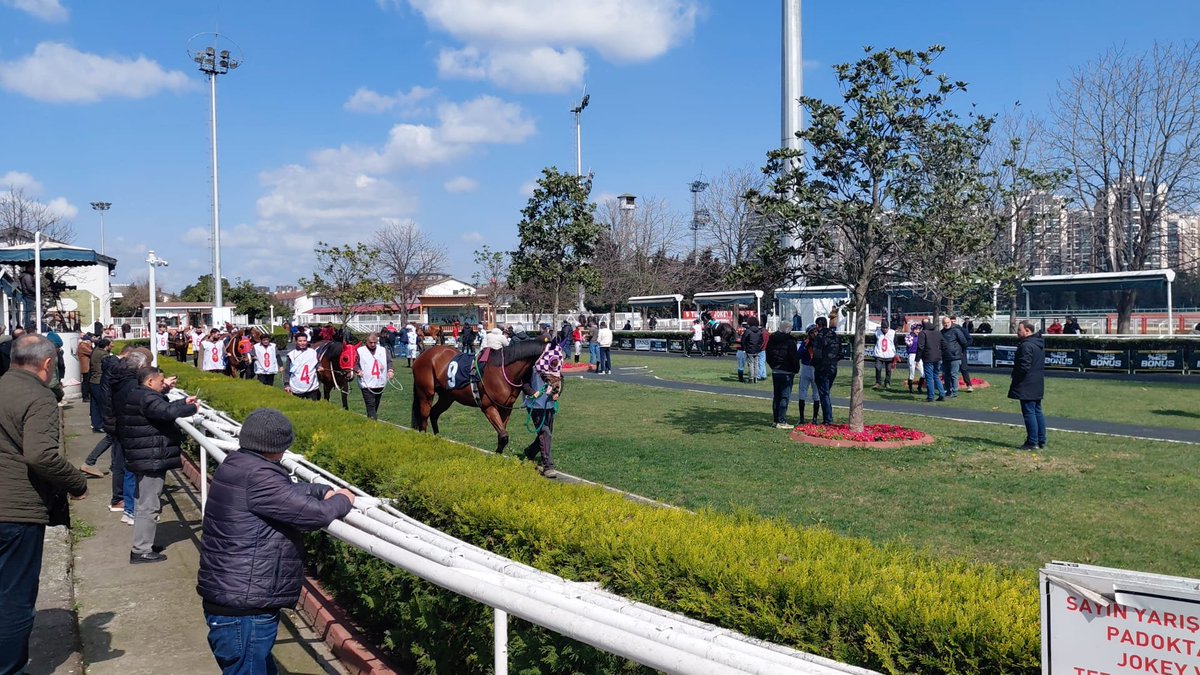 Enis Balcı tweet media