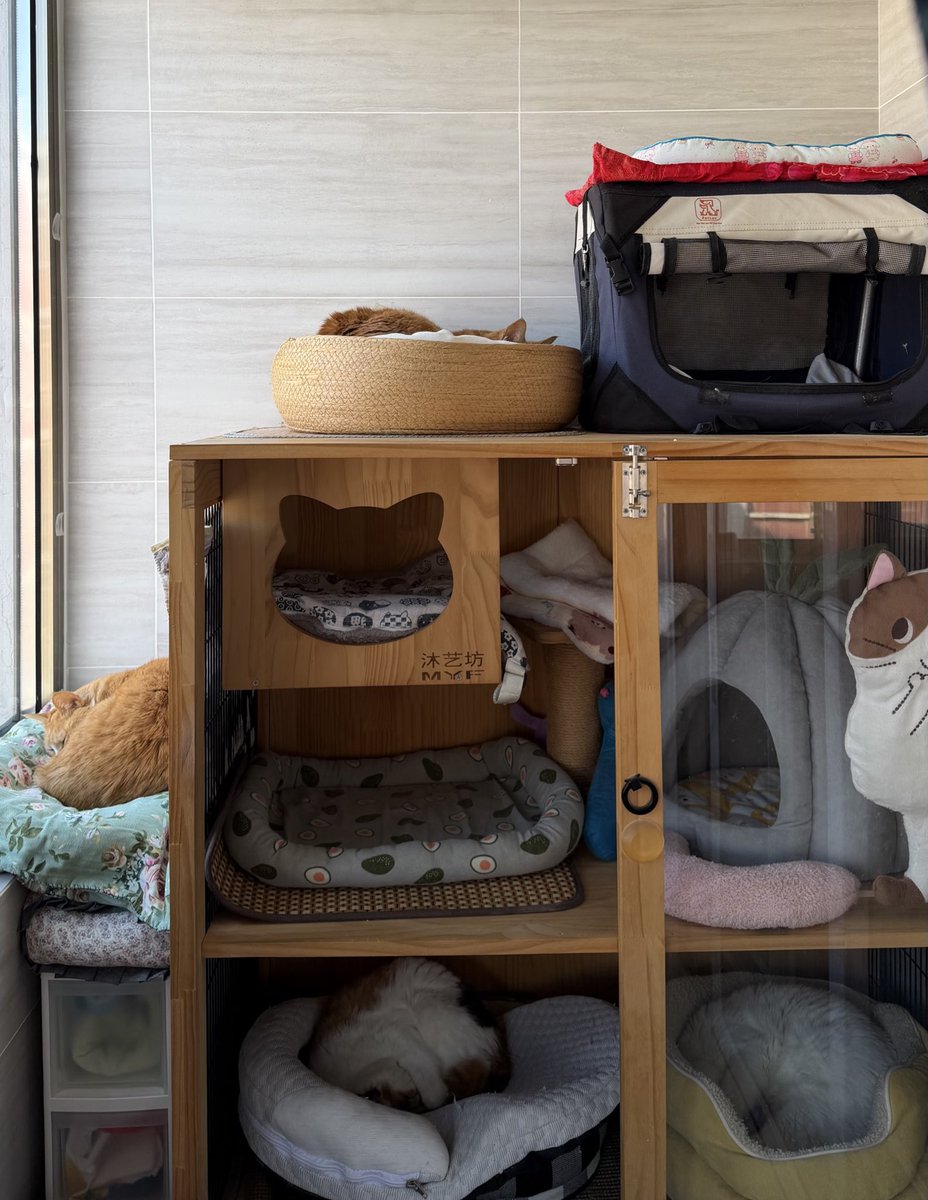 冰比冰水冰 tweet media