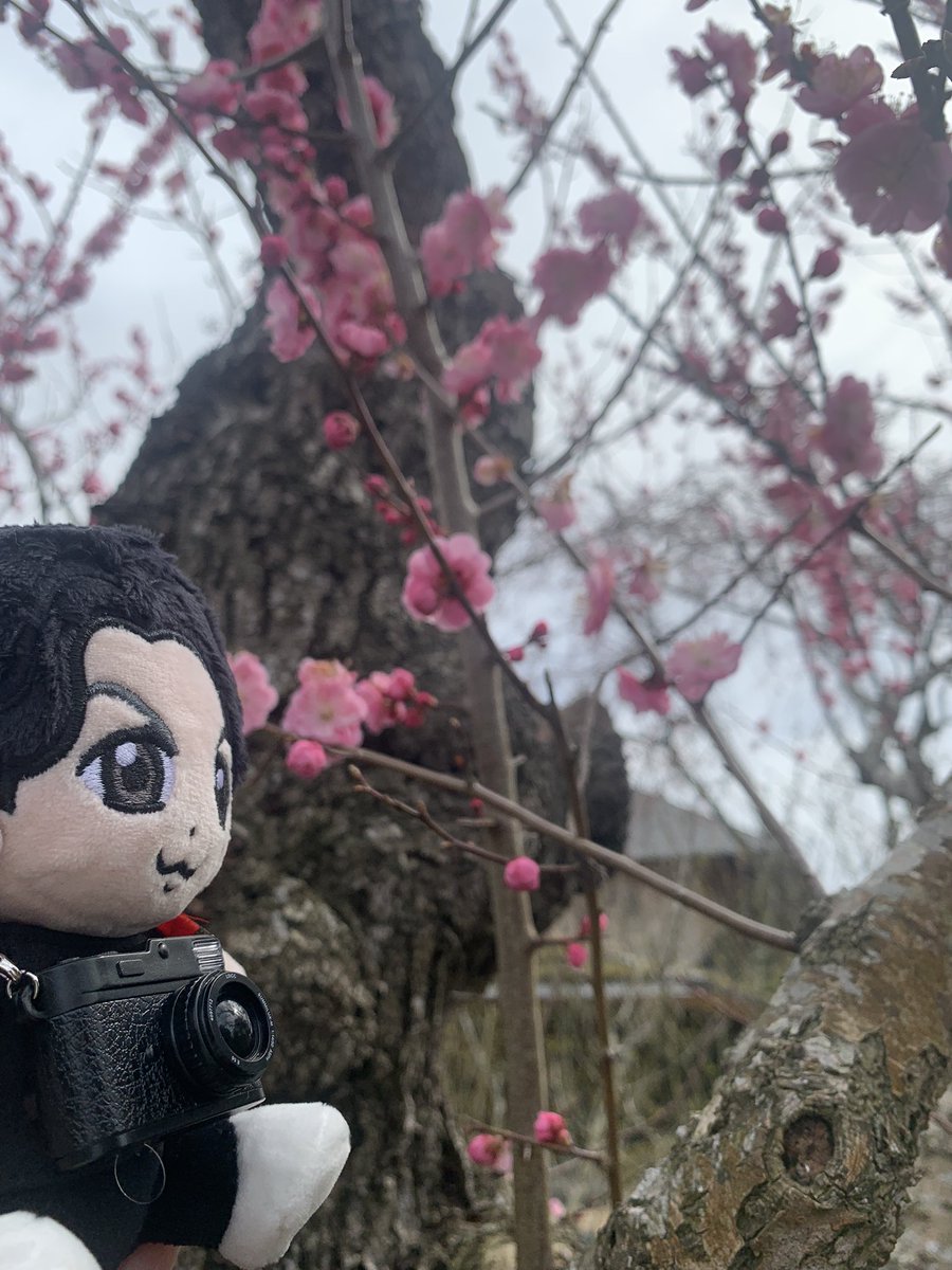 ミナミ tweet media