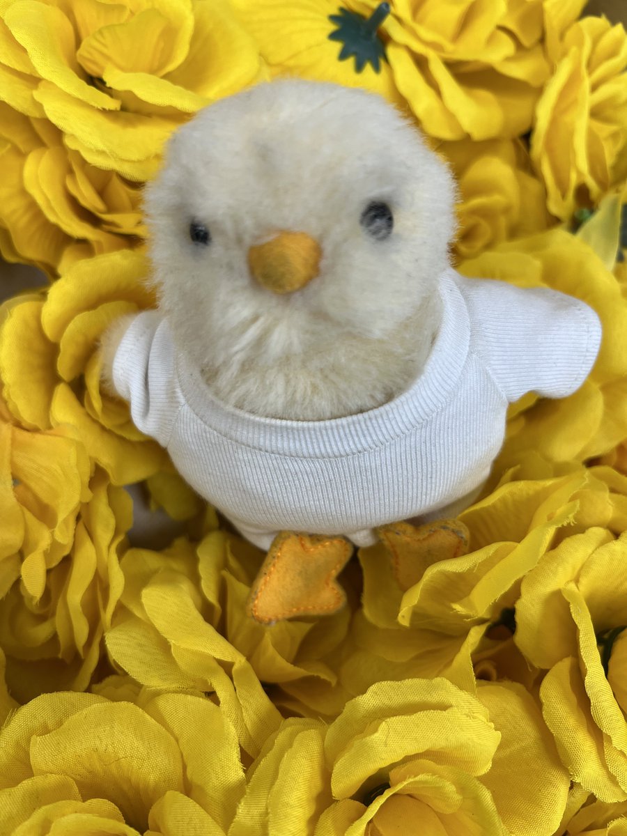 ベスパックス tweet media