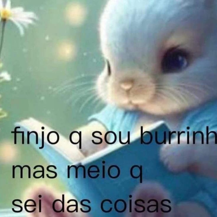 perfil dedicado a gatinhos e peitos tweet media