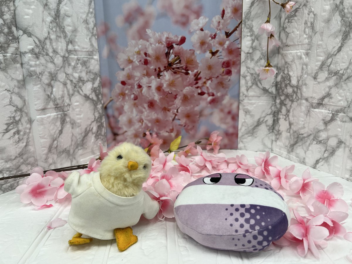 ベスパックス tweet media