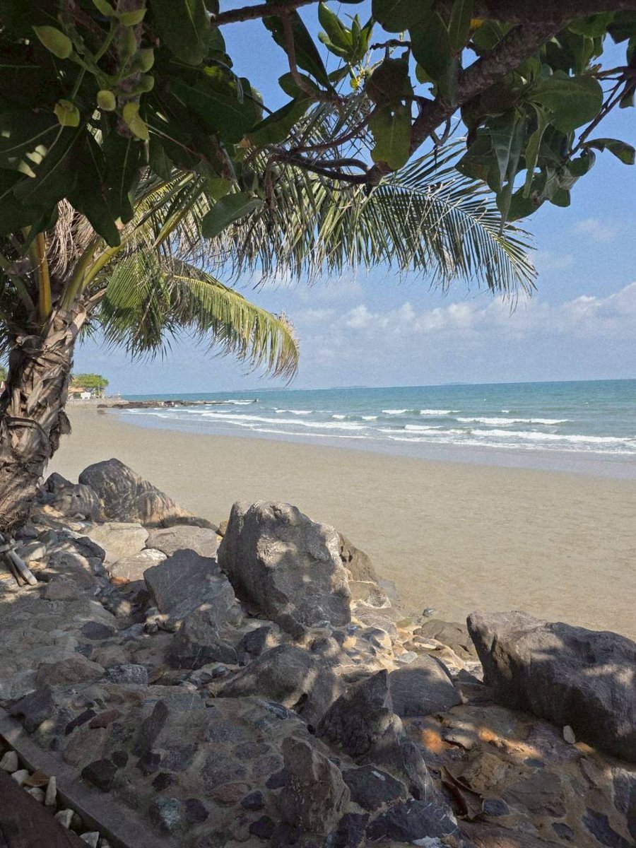 Komkanit 📚👨🏻‍💻 tweet media