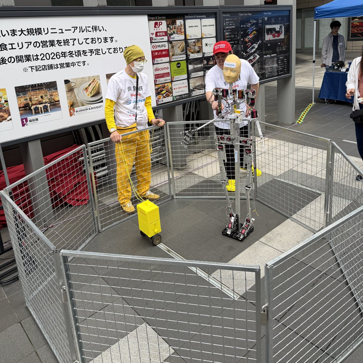 石橋利也 tweet media