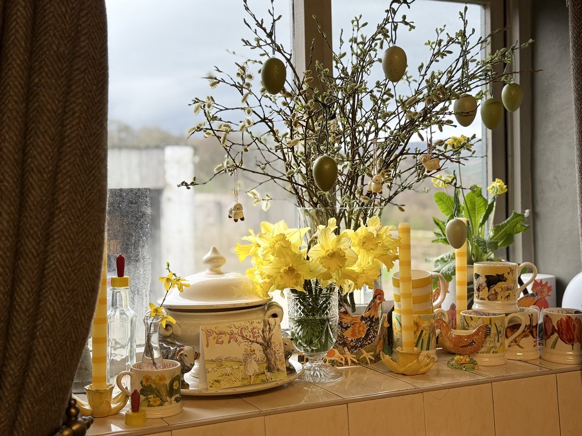 woolismybread's tweet photo. Easter Sunday 🙏💛🌼calm after the storm 💛🌼🌼🐑🐑 https://t.co/MABSjPMNkY