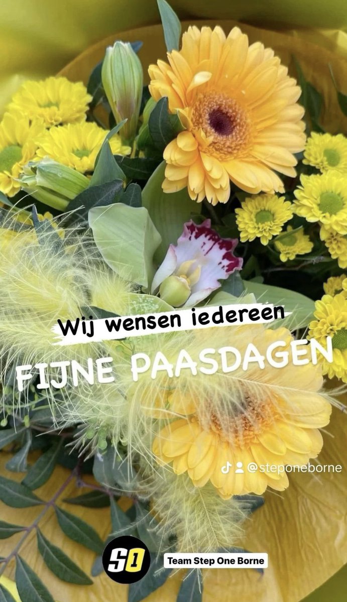 Step One Borne (@stepone_borne) on Twitter photo 