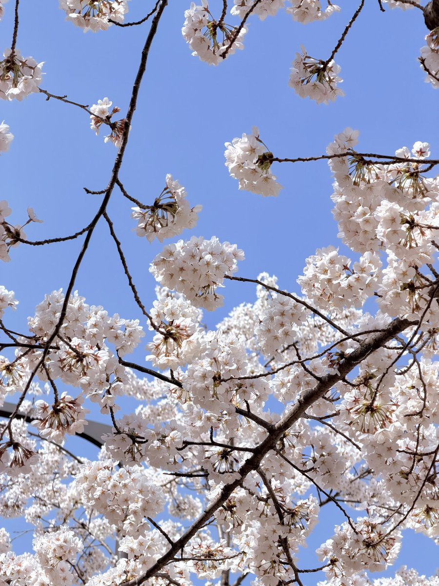 햄민이 tweet media