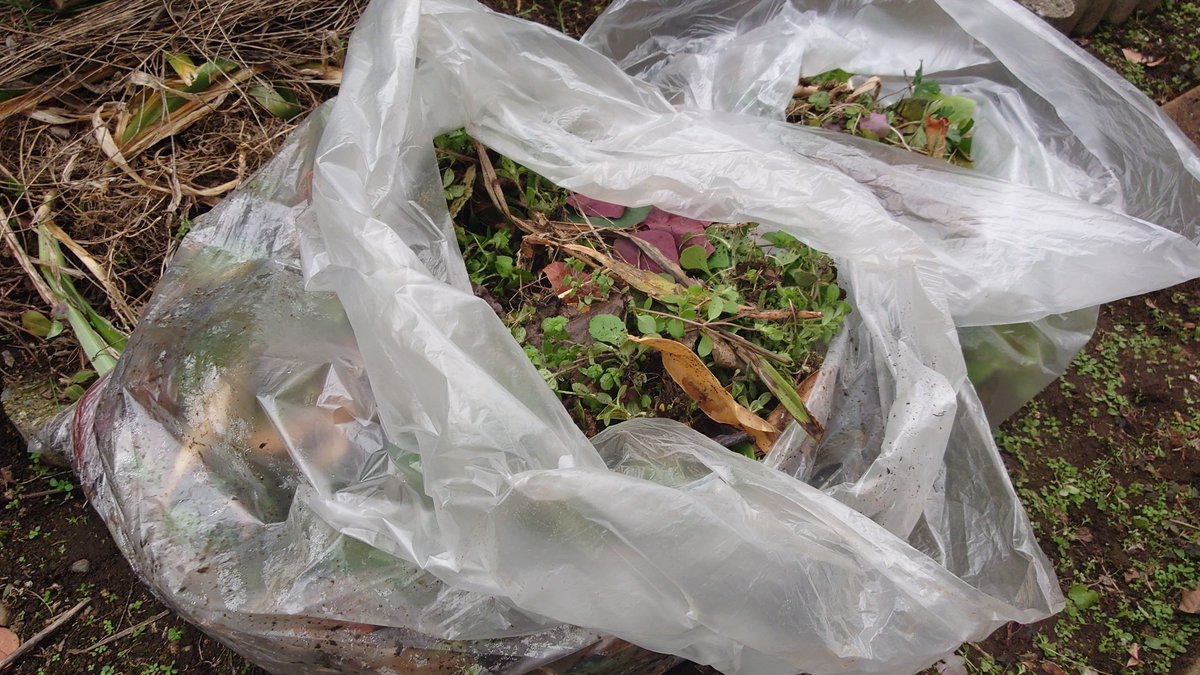 Chika san_36 tweet media