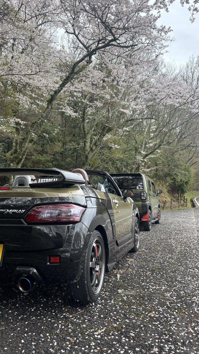 axau0's tweet photo. 久々の生駒スカイライン。天気曇ってたけど結構オープンカーいました。桜綺麗でした🌸 https://t.co/xvbe36fhzY