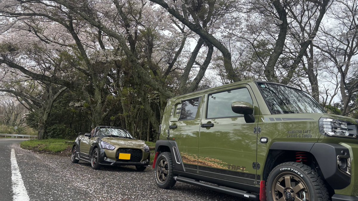 axau0's tweet photo. 久々の生駒スカイライン。天気曇ってたけど結構オープンカーいました。桜綺麗でした🌸 https://t.co/xvbe36fhzY