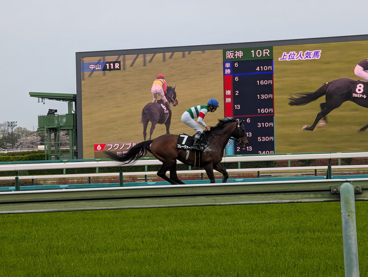 Helios@一口沼住人 tweet media