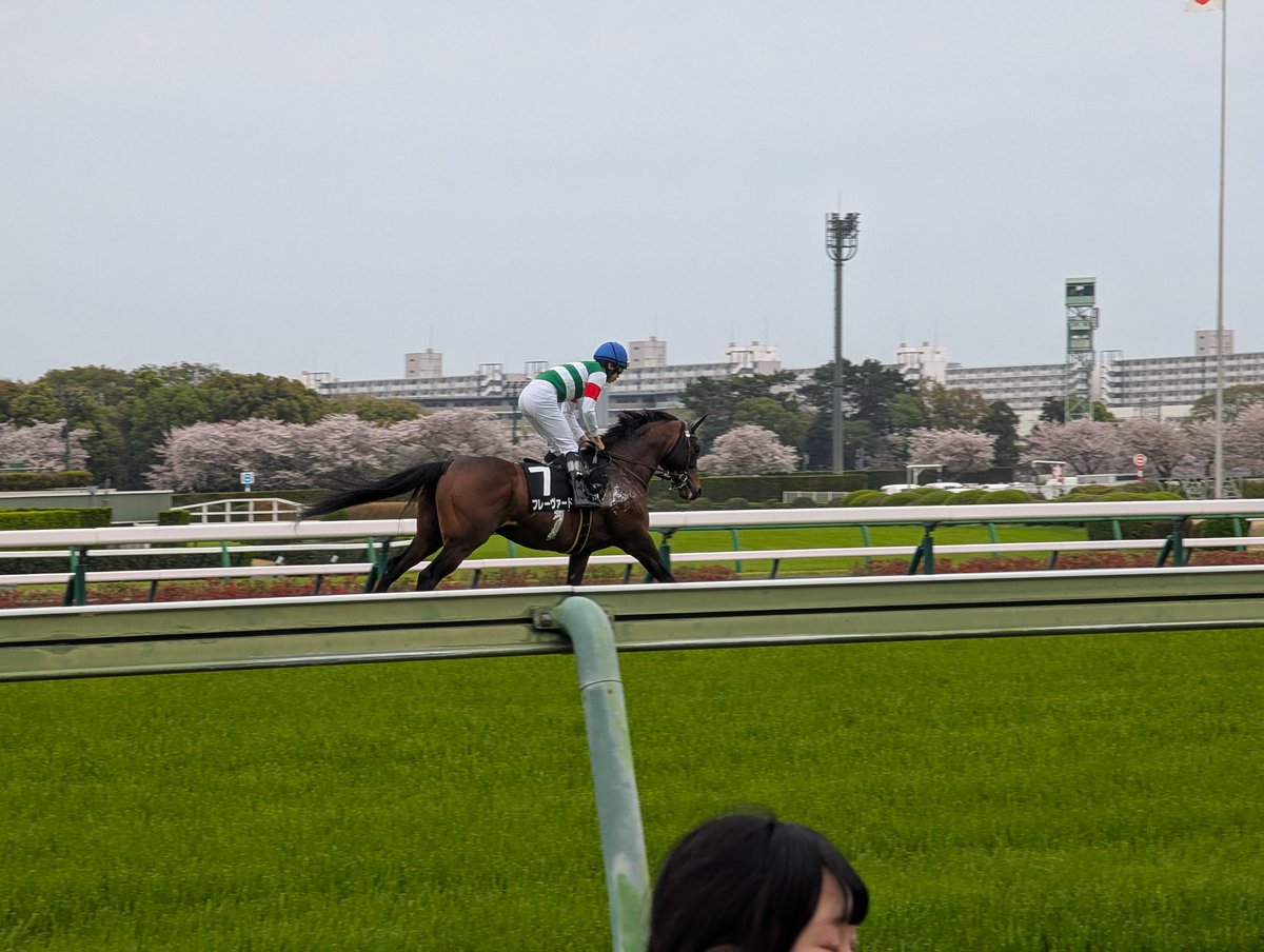 Helios@一口沼住人 tweet media