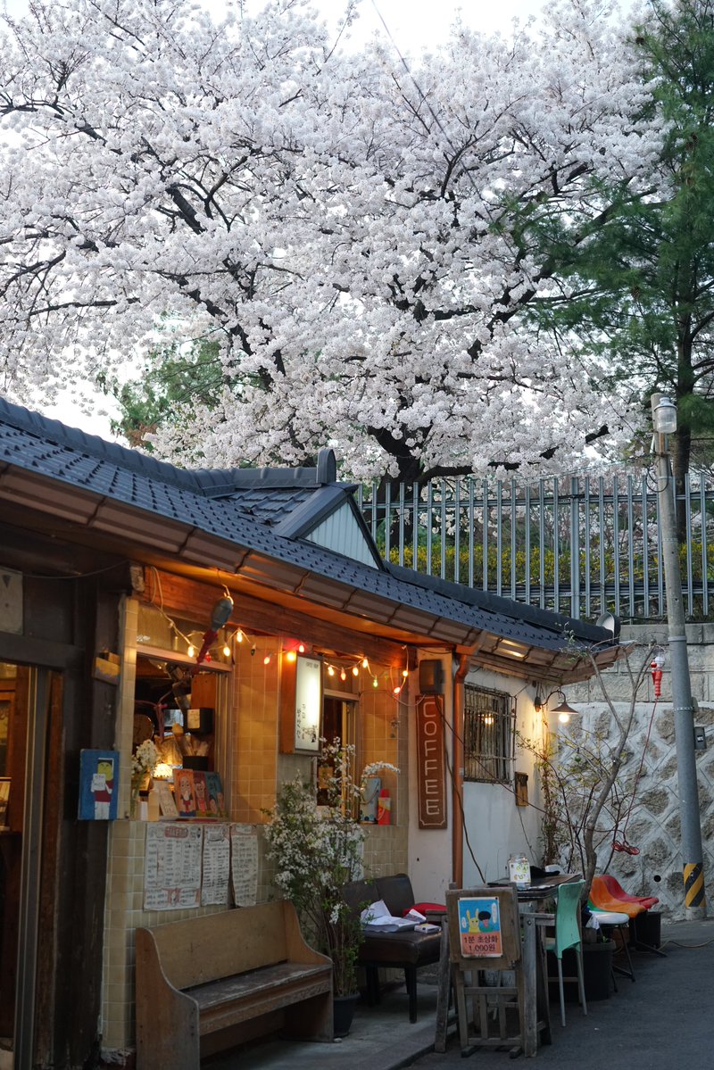 페리테일 tweet media