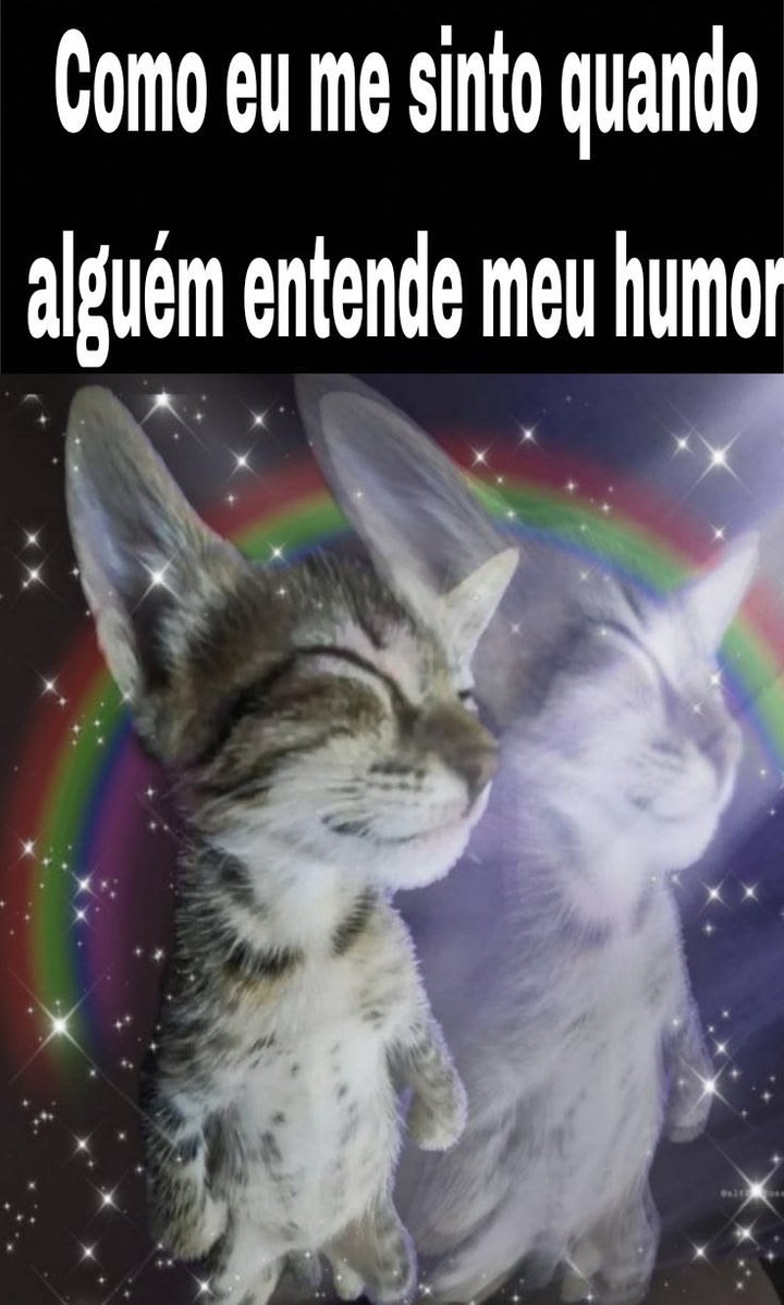 perfil dedicado a gatinhos e peitos tweet media