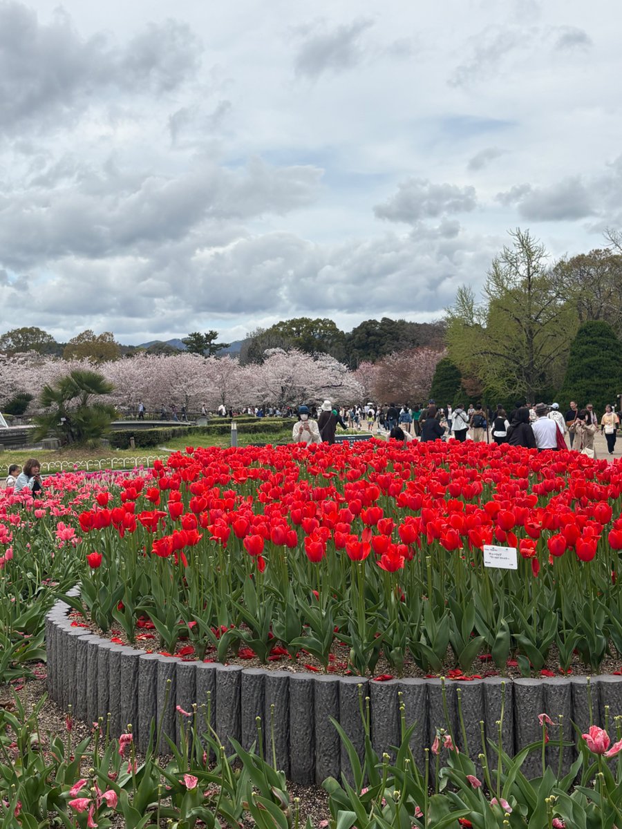 週末紳士 tweet media