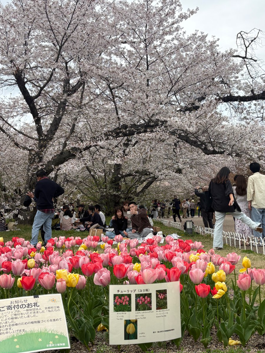 週末紳士 tweet media