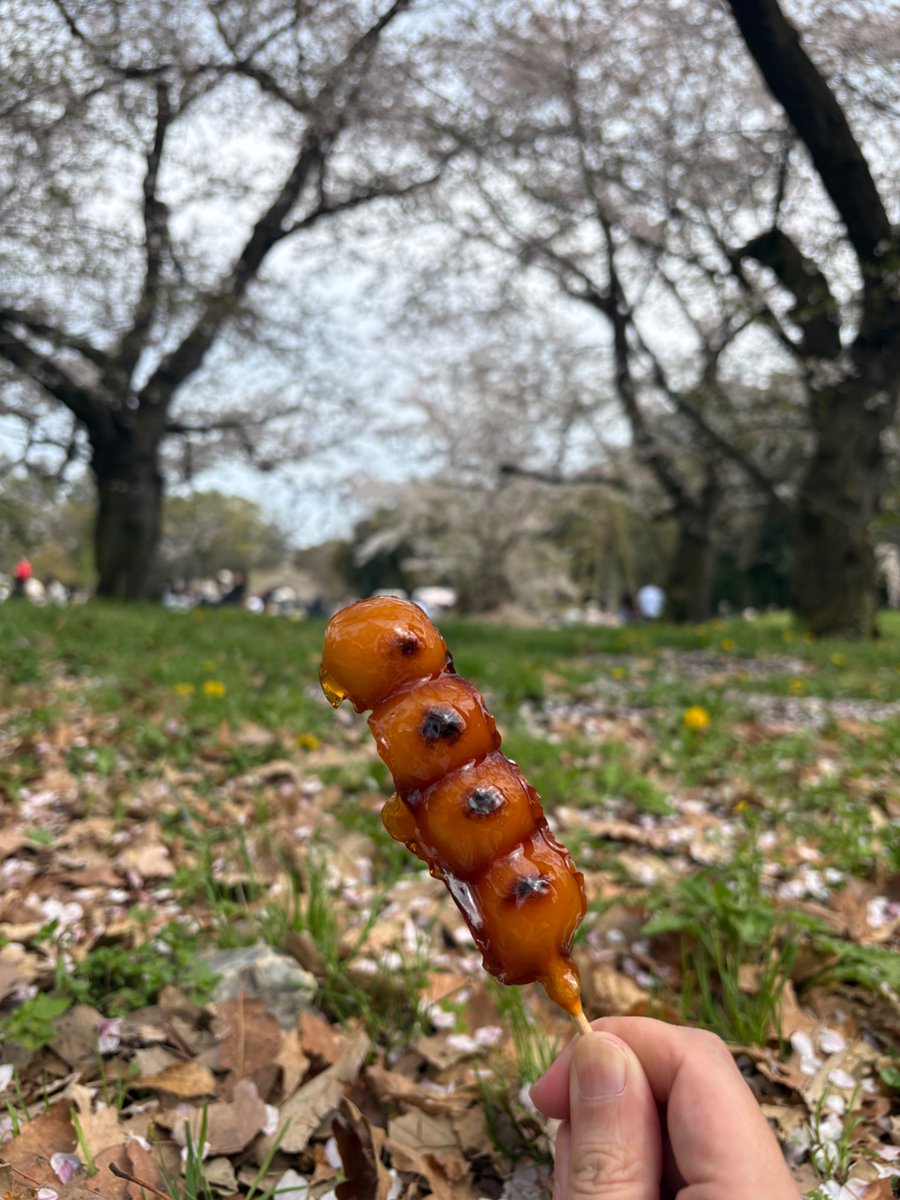 週末紳士 tweet media