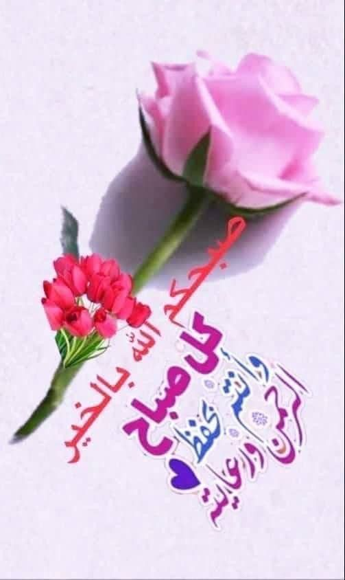 ABU MALEK tweet media