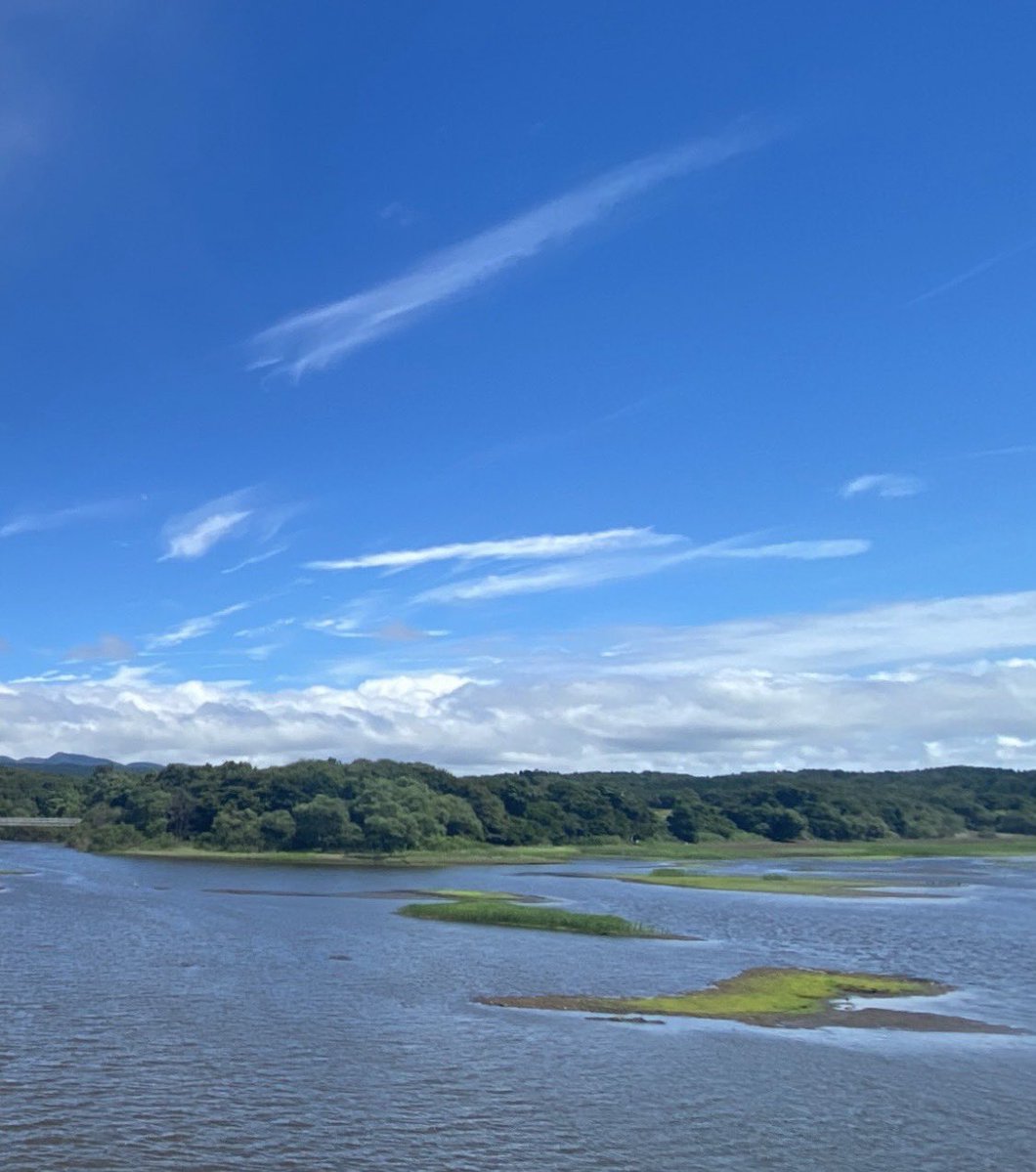 ウマダ牛ジロー tweet media