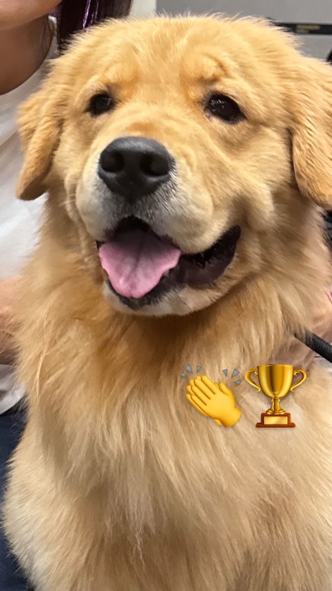 mimilkishappy◡̈ˎˊ˗ tweet media