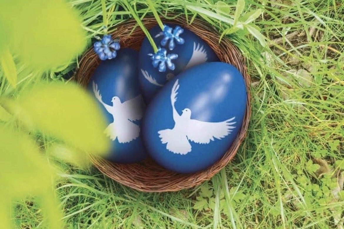 Ulrike Eifler tweet media