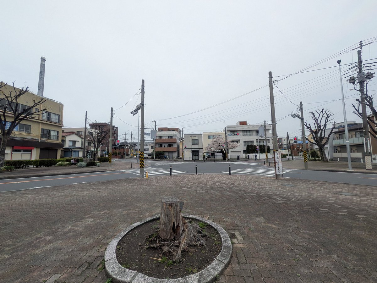 リラックマ助役@公共放送/公共交通 tweet media