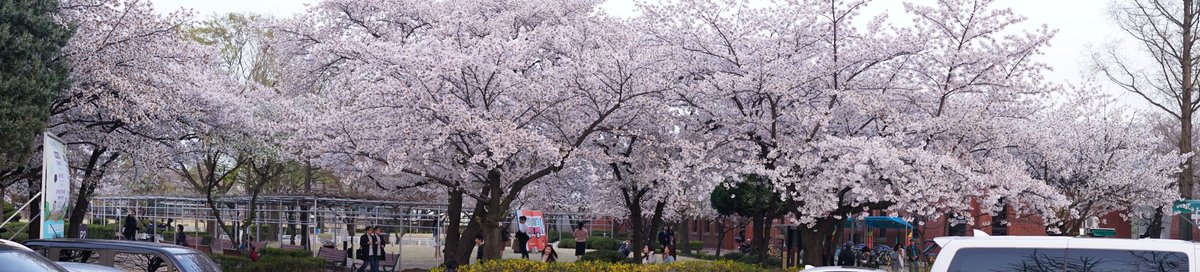 페리테일 tweet media