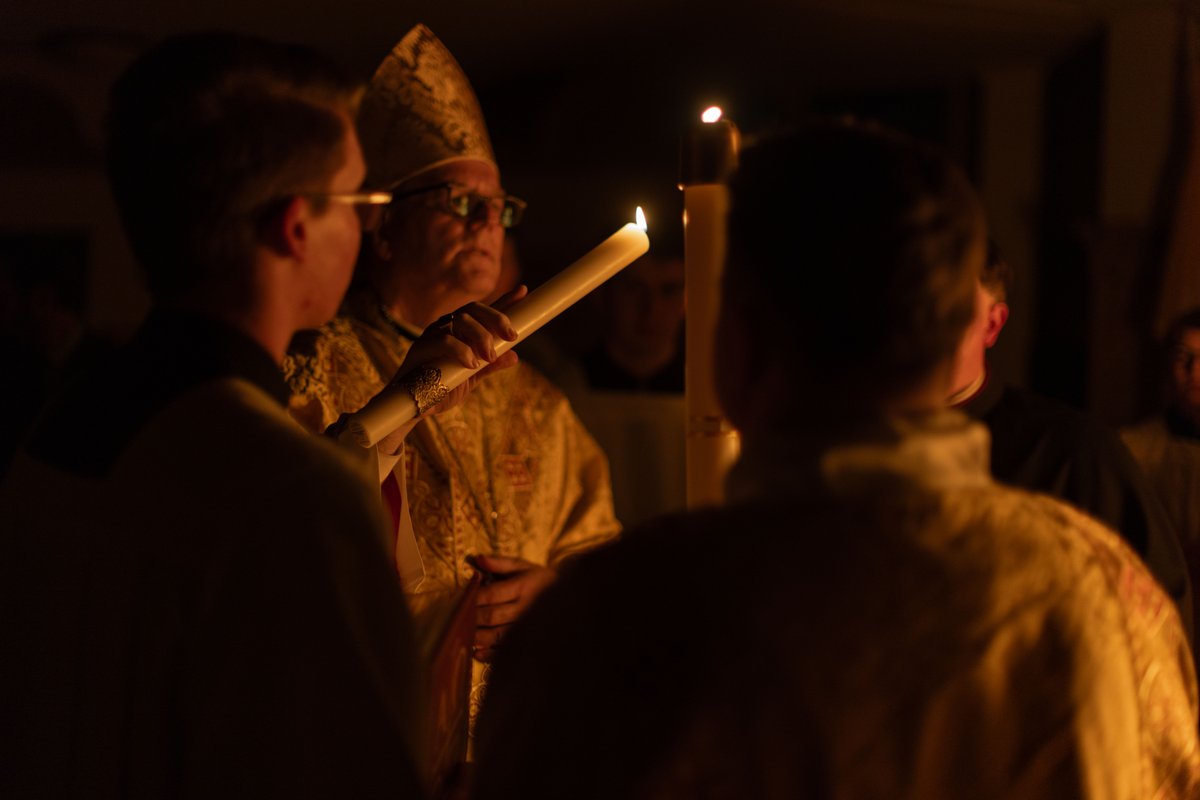 Bishop Robert Barron tweet media