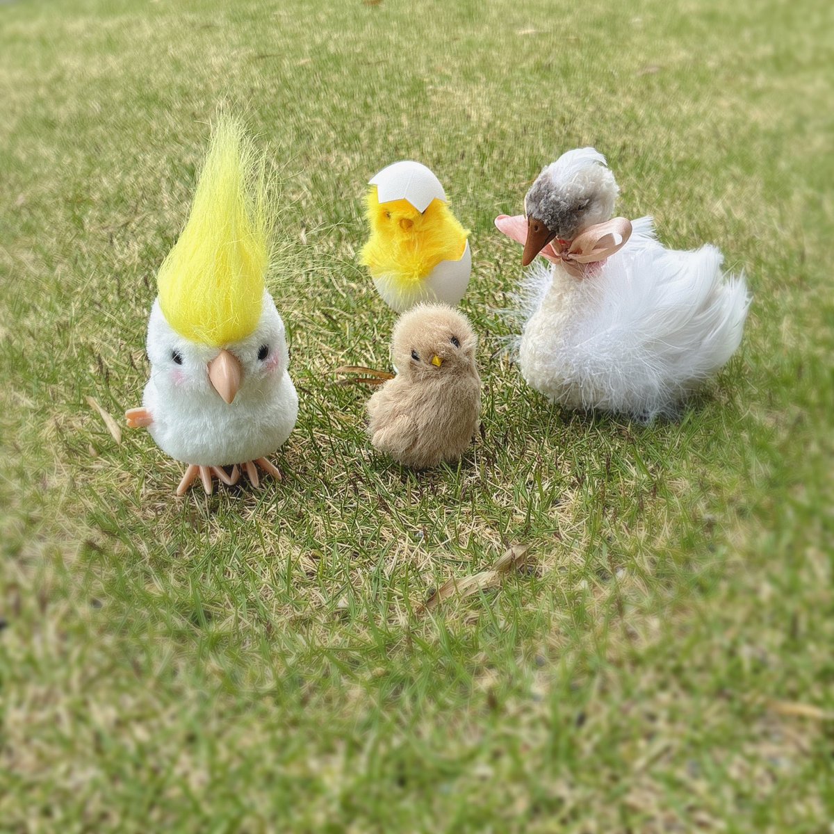 L'OUTIL 3103ルティ🤖 4/19アイドール大阪 tweet media