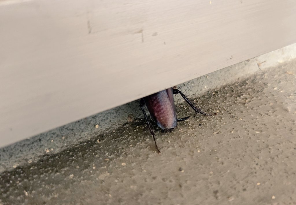 いろ爬まる tweet media