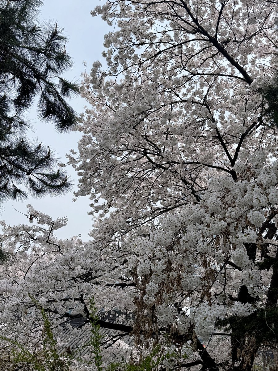 romi ་⁺₊♡ tweet media