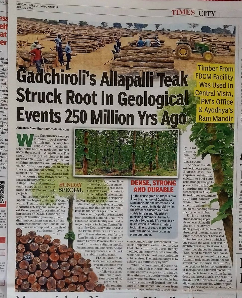 DivyaIFS's tweet photo. Writing this was a joy. Linking economics to trees to Geology. 

Alapalli teak found its way to Ram mandir and Parliament and the strength of it lies in Geology! https://t.co/VGBL1ItoIM
