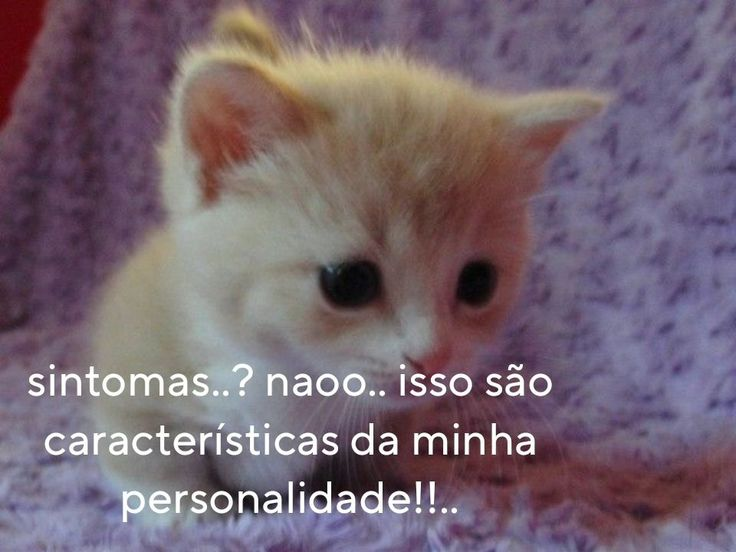 odeiootaco's tweet photo. https://t.co/P9N4OZuXUT