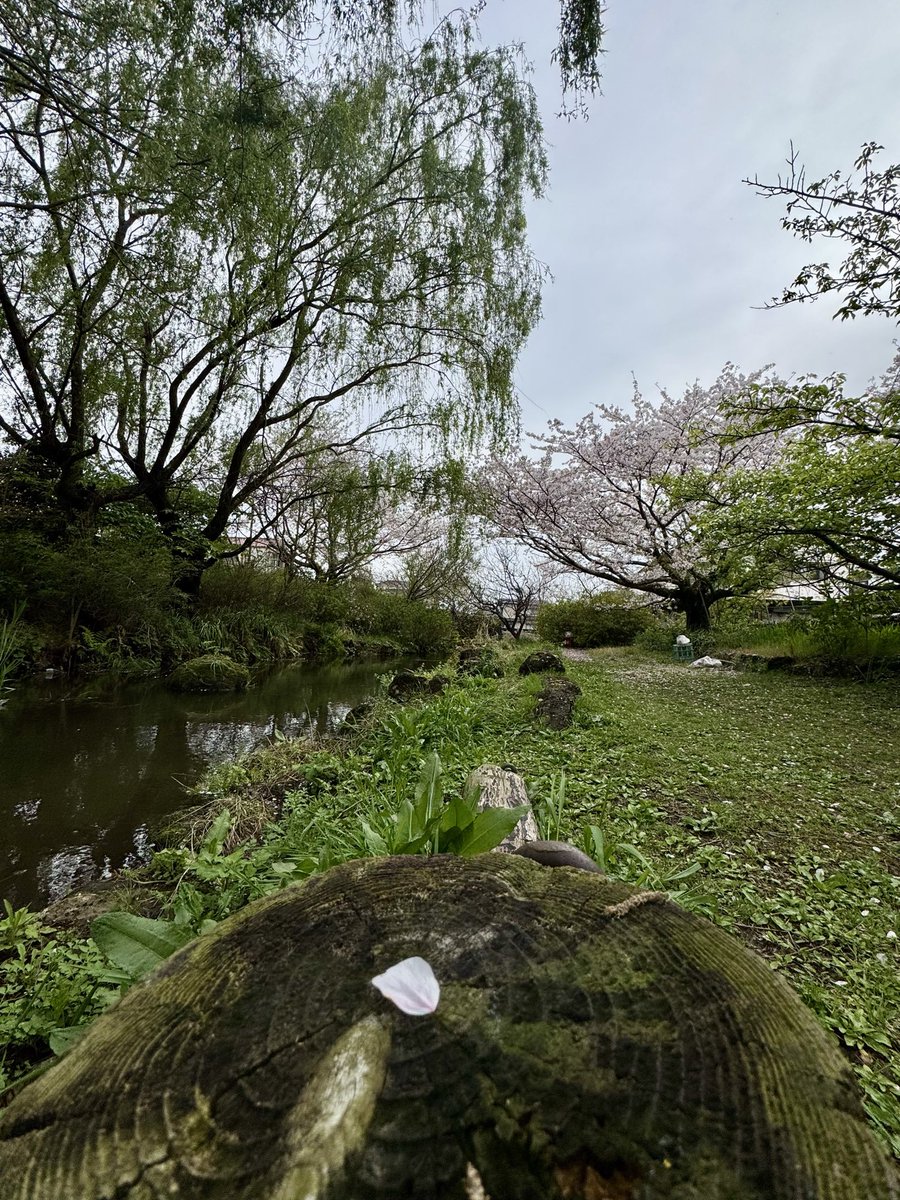 nejikuman tweet media