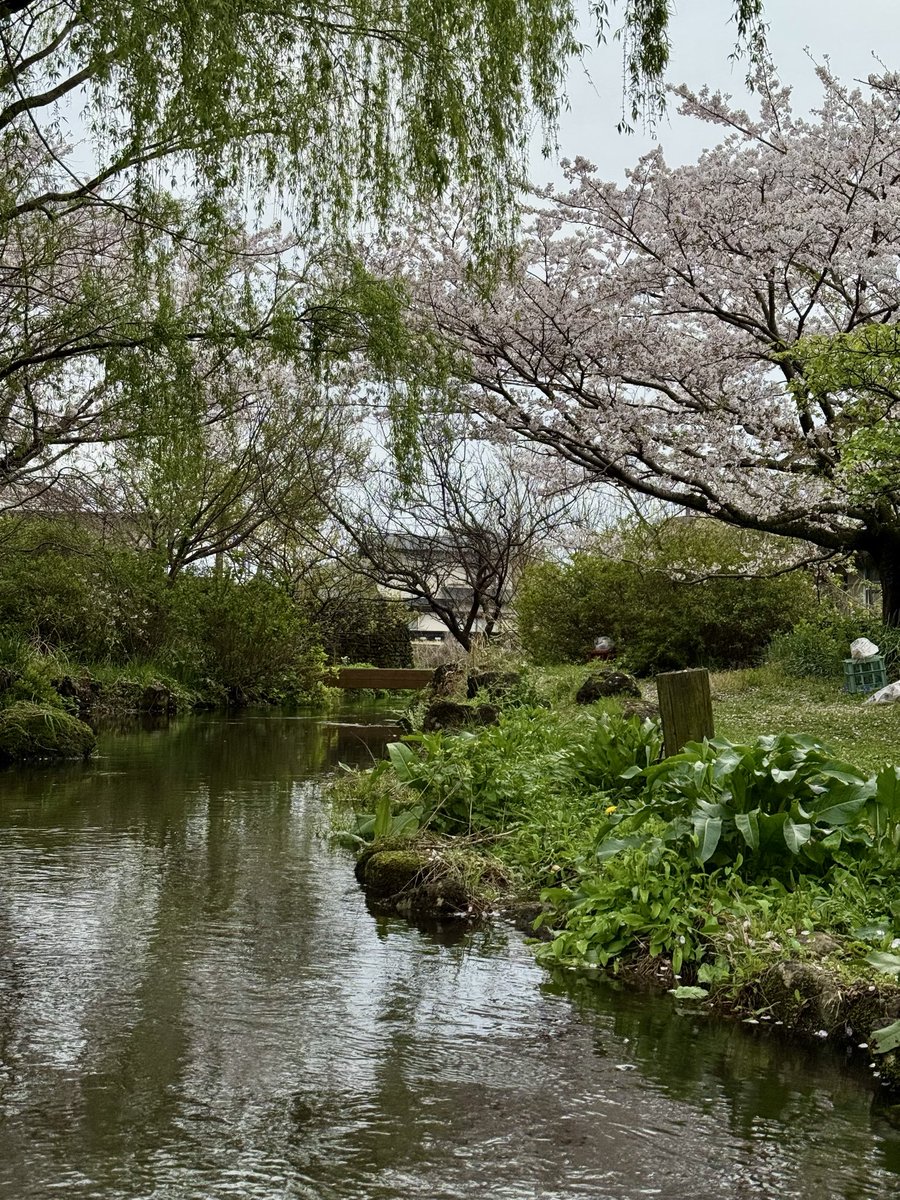 nejikuman tweet media