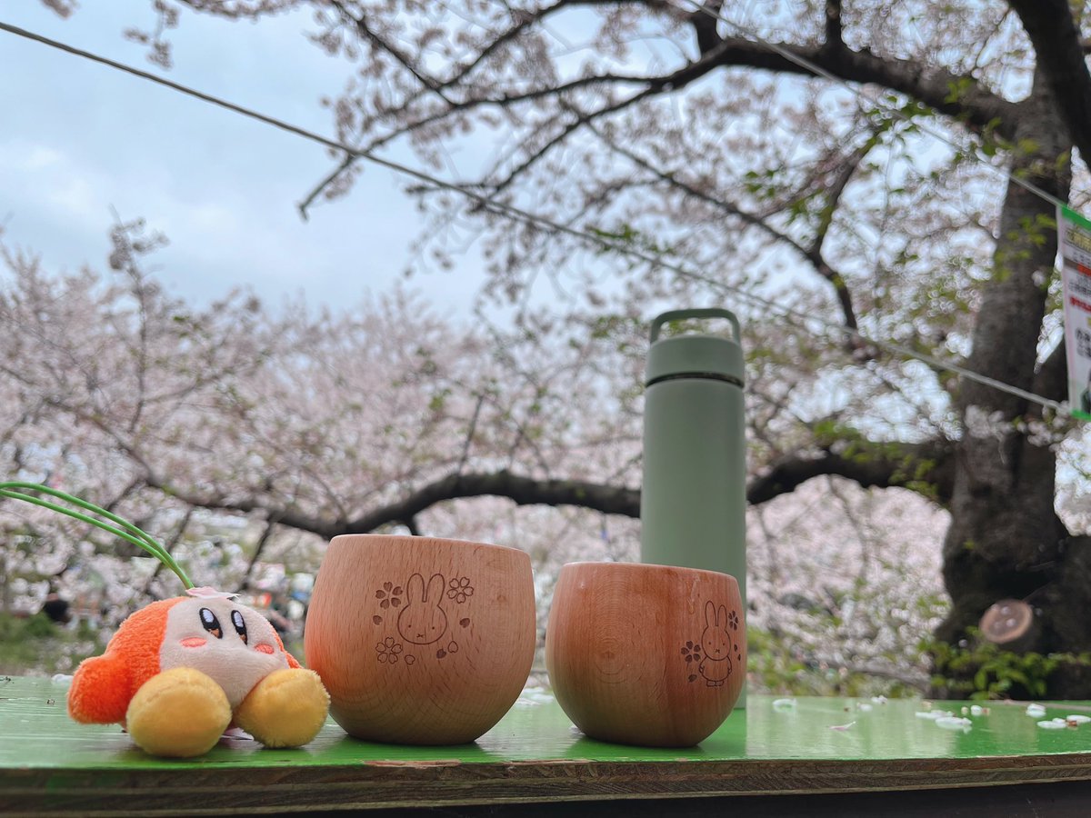 美島ココ tweet media