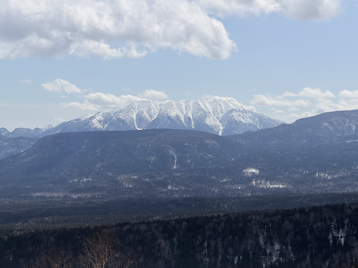 げおらげ tweet media