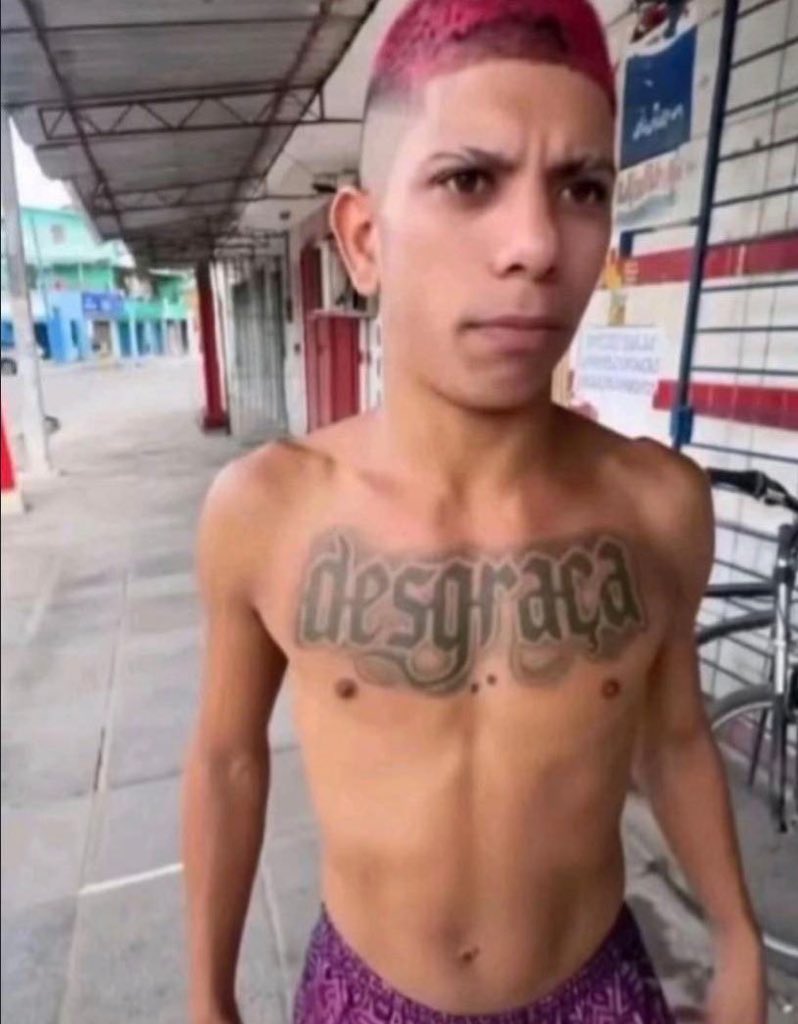 Pirusemfreio tweet media