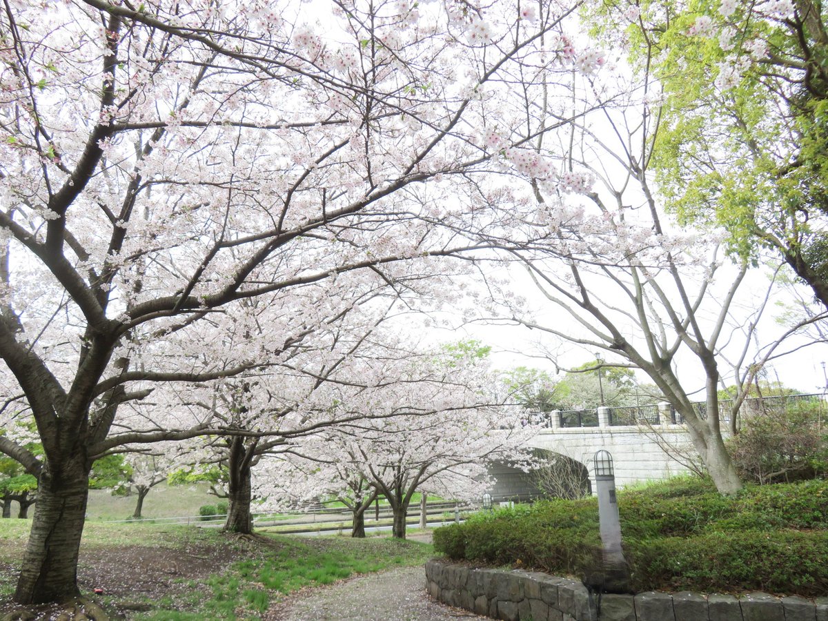 都立葛西臨海公園 tweet media