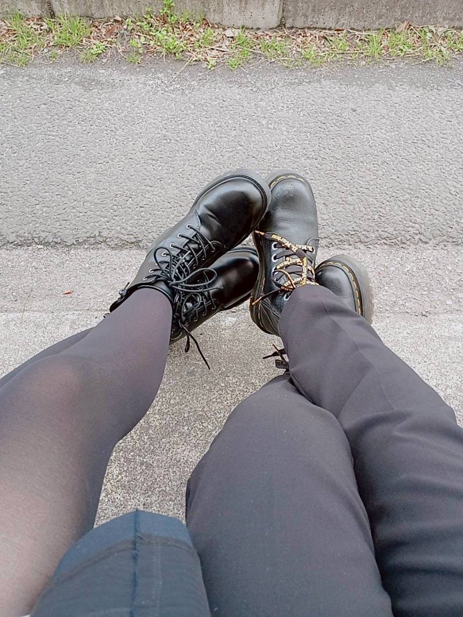 ぽち太 tweet media