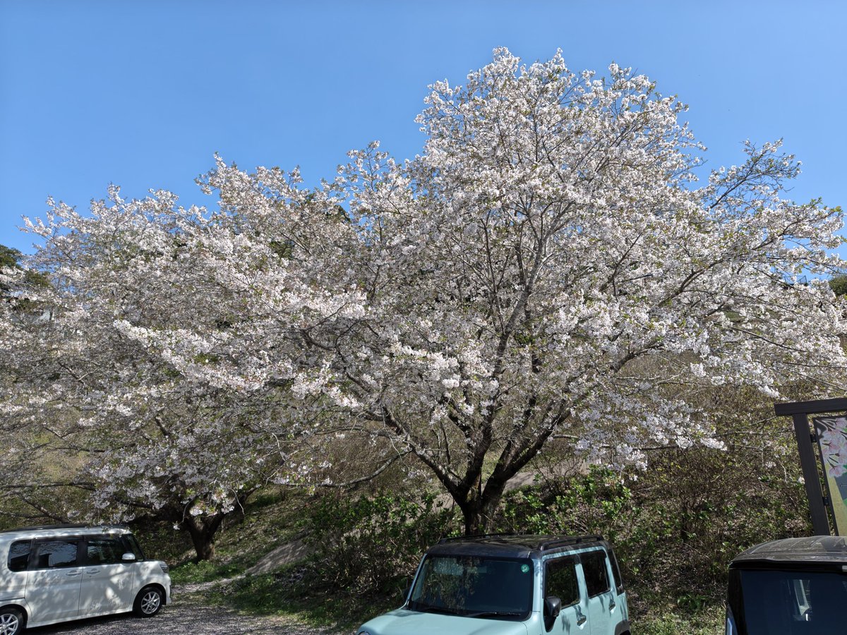 シオナ taxi driver tweet media