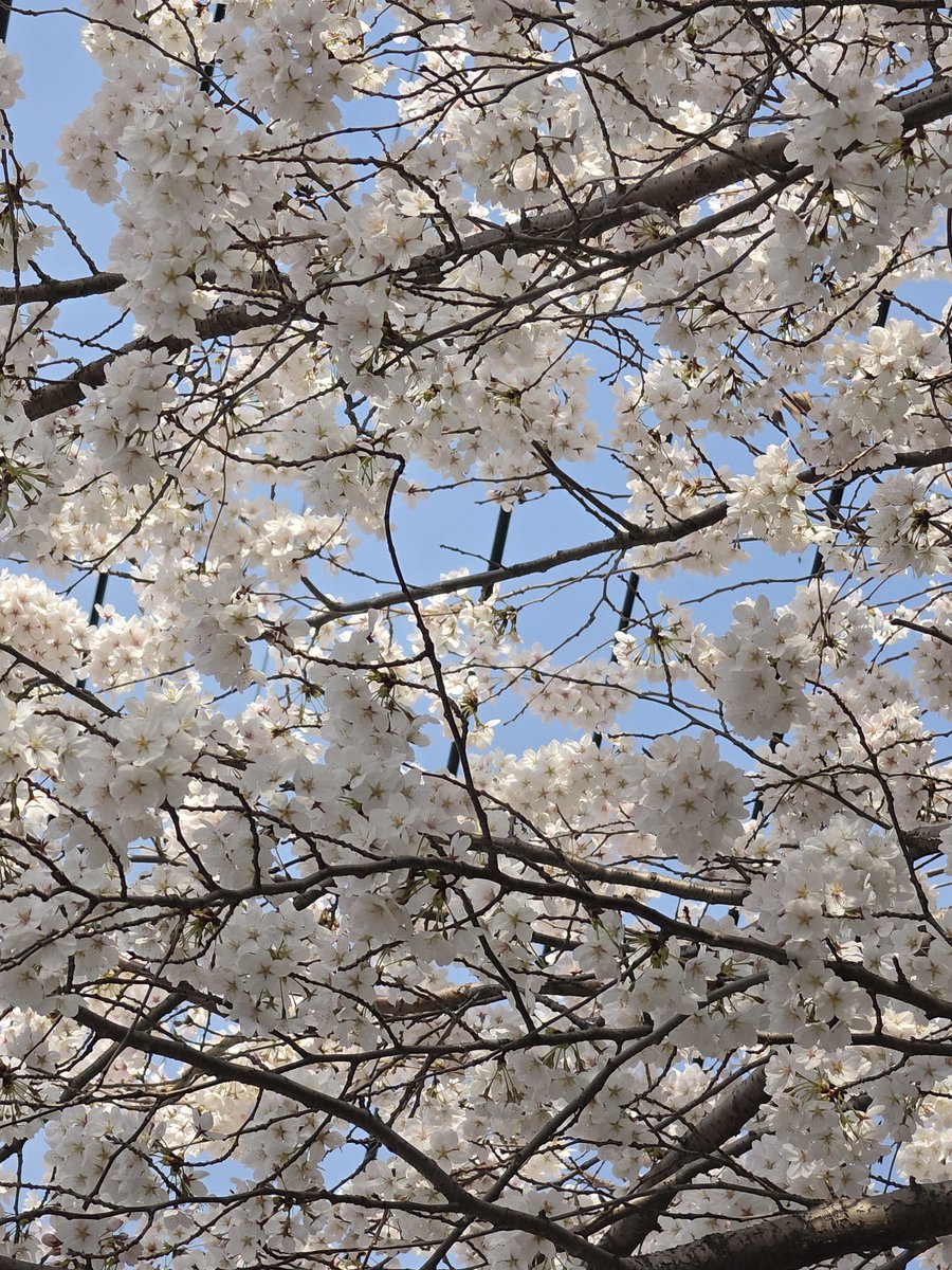 100☘️ tweet media