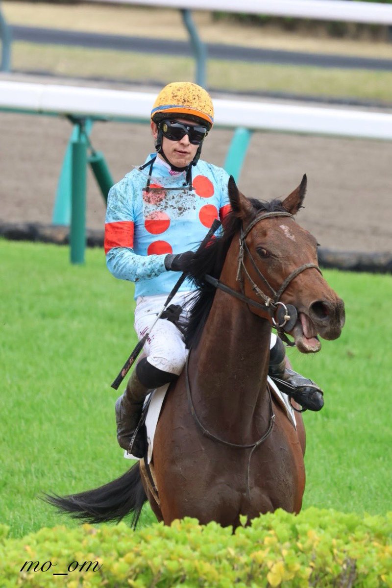 ももさん tweet media