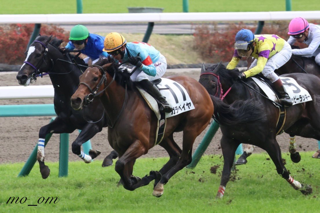 ももさん tweet media