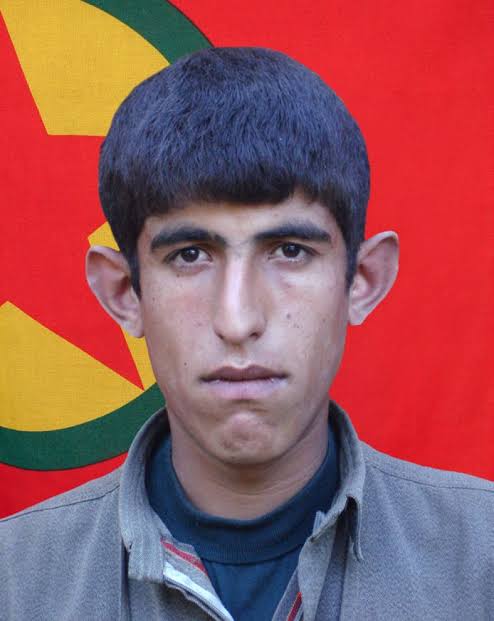 ℂ⋆ Tiranovic tweet media