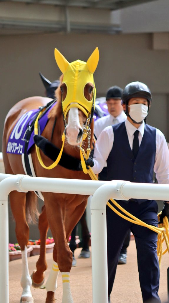 🔺ゆりお▪️ tweet media