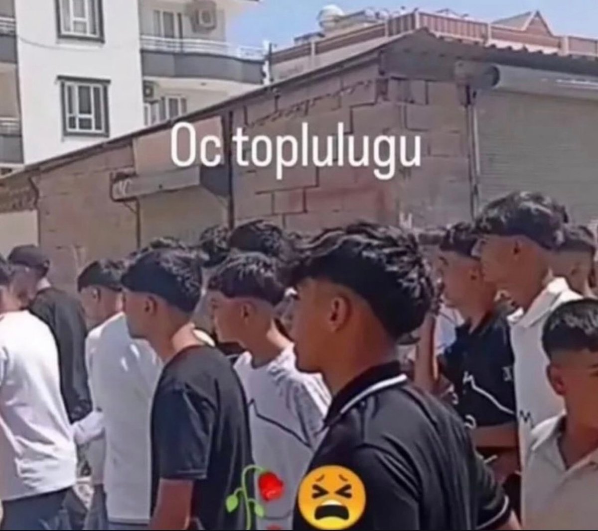 ℂ⋆ Tiranovic tweet media